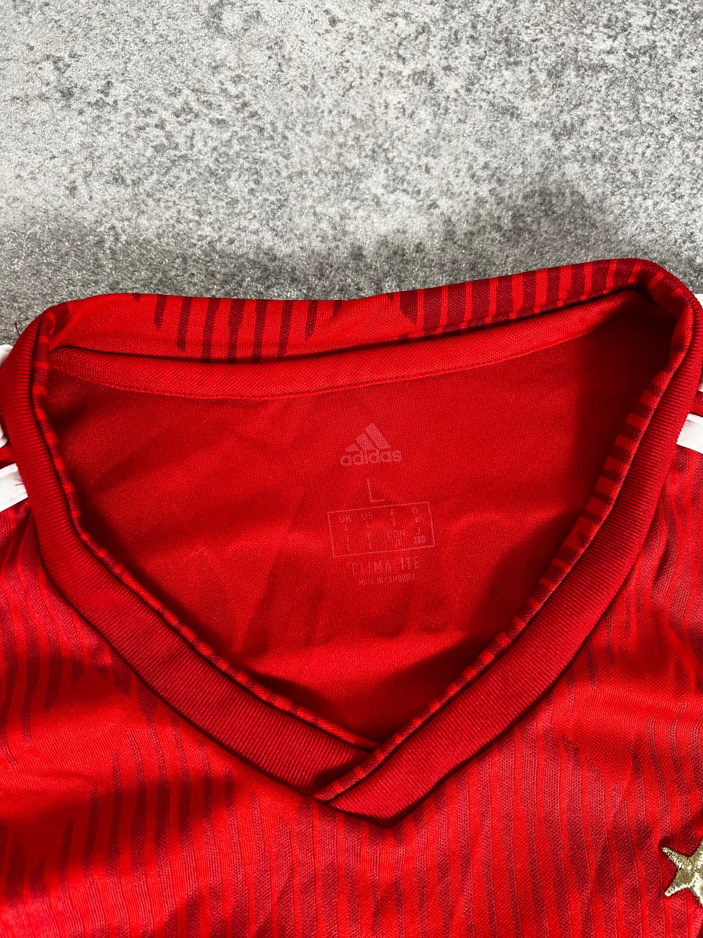 Adidas FC Bayern Trikot Lewandowski (L)